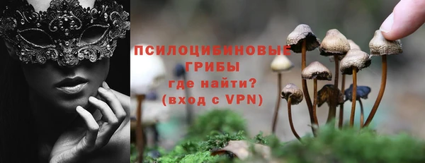 прущие крисы Арсеньев