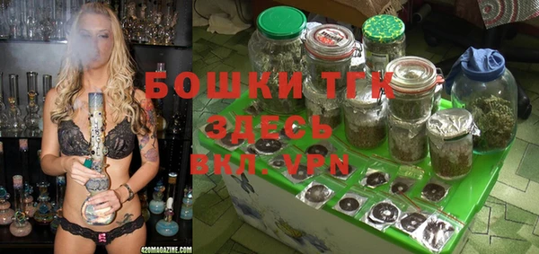 ешки Протвино