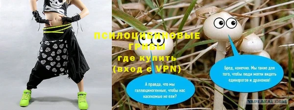 дурь Болхов